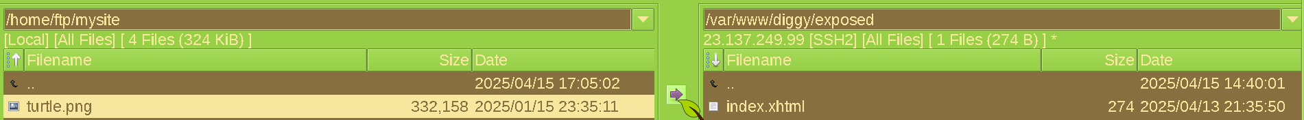 gFTP with cursor over the file transfer button