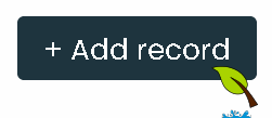 Showing the 'Add record' button
